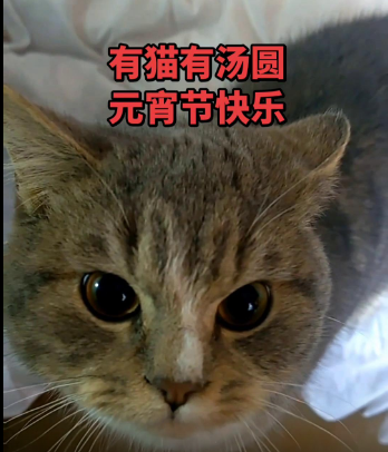 截图20260303120840.png
