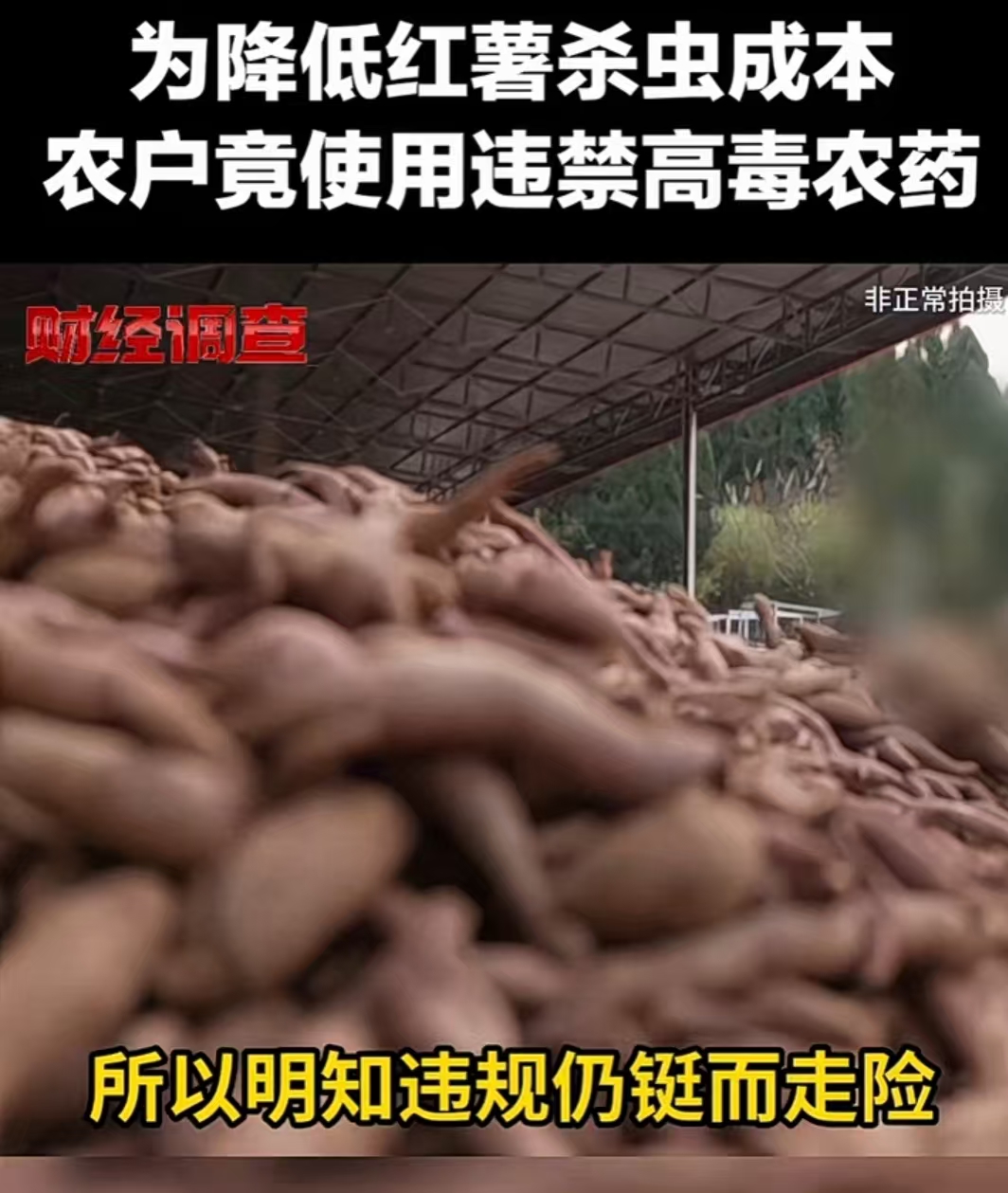 微信图片_20260128154753_145_1181.jpg