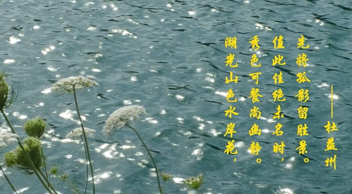 截图20230707161210.png